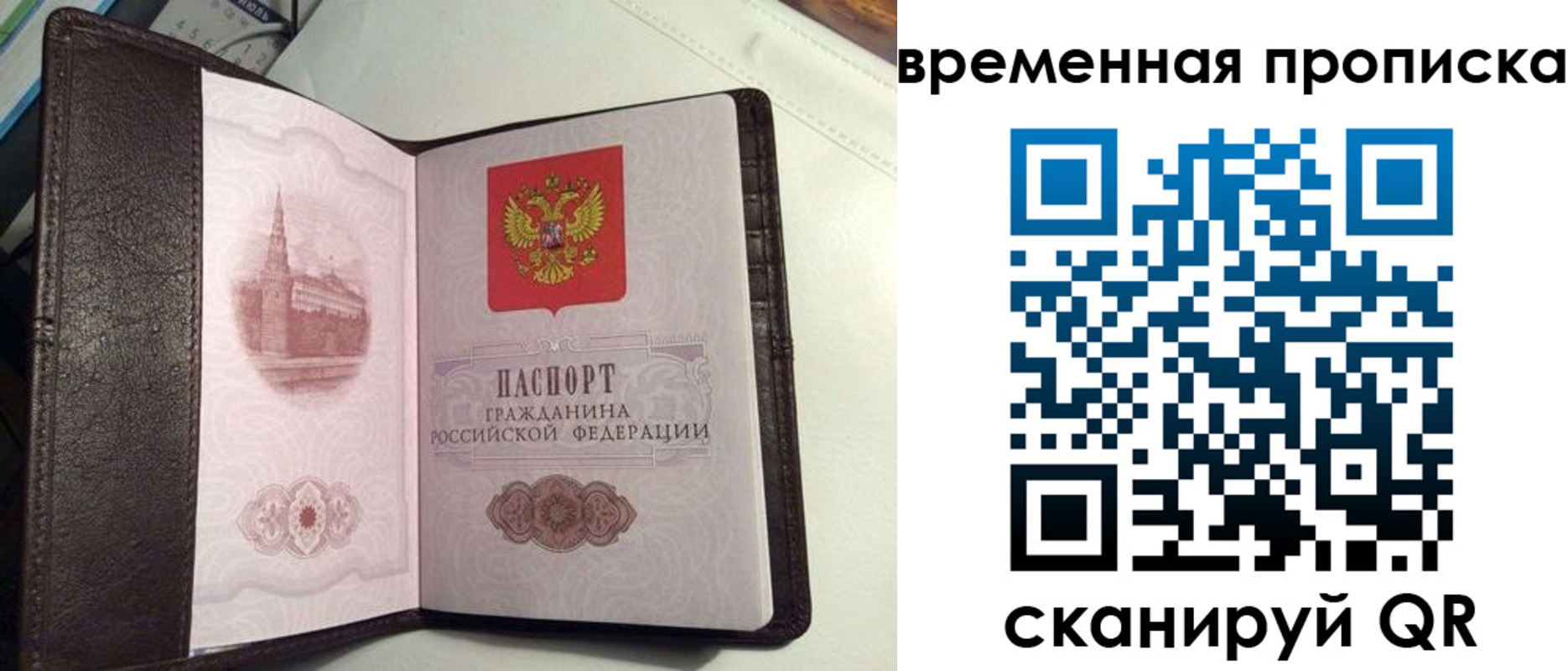 прописка 2025 в Каргополе
