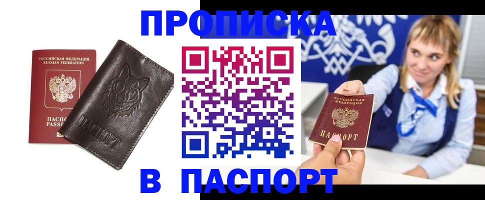 где прописаться в Каргополе